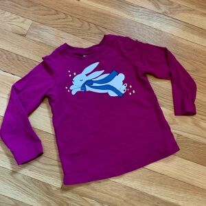 Hanna Andersson Long Sleeve Graphic T-shirt with Sleeping Bunny 100 (4T) VGUC